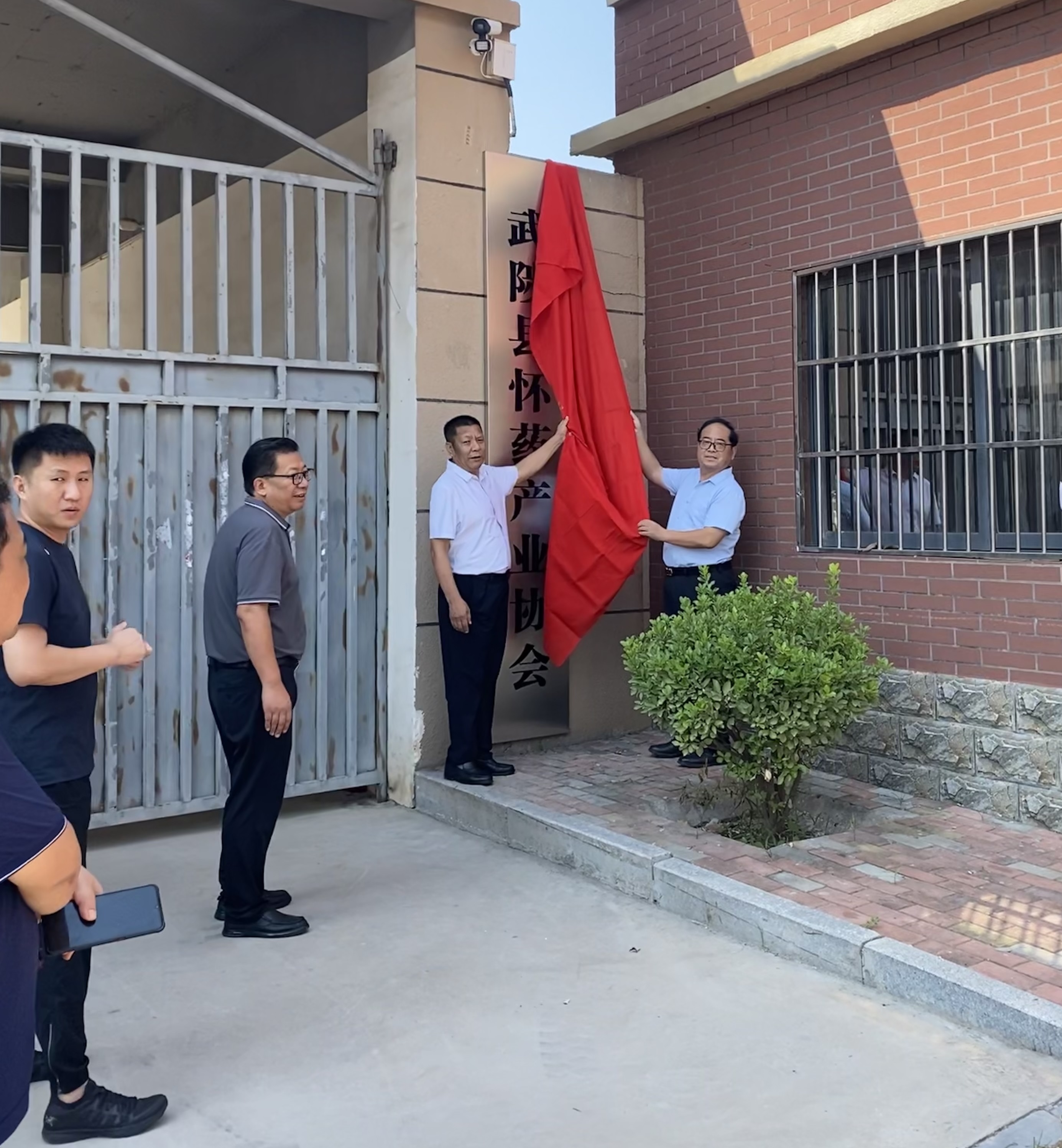 “發(fā)展懷藥  共享藍圖”——武陟縣懷藥產業(yè)協(xié)會揭牌儀式圓滿舉辦